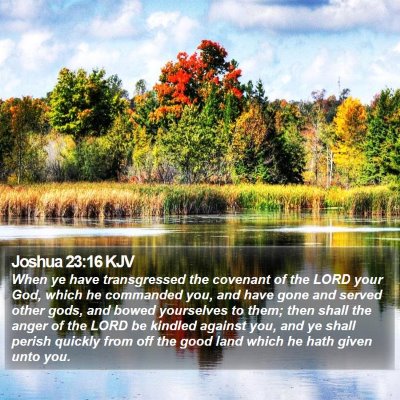 Joshua 23:16 KJV Bible Verse Image