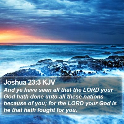 Joshua 23:3 KJV Bible Verse Image