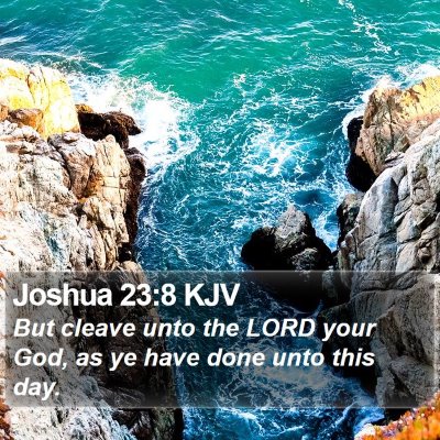 Joshua 23:8 KJV Bible Verse Image