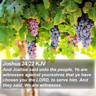 Joshua 24:22 KJV Bible Verse Image