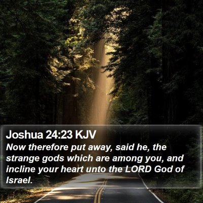 Joshua 24:23 KJV Bible Verse Image