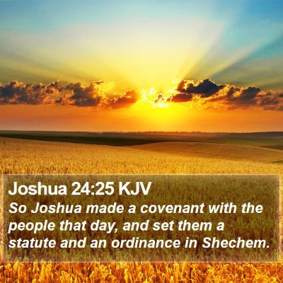 Joshua 24:25 KJV Bible Verse Image