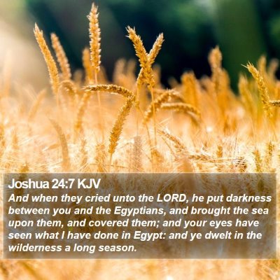 Joshua 24:7 KJV Bible Verse Image