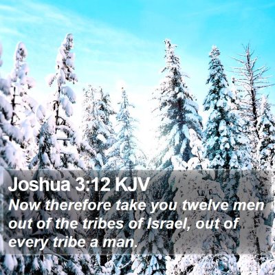 Joshua 3:12 KJV Bible Verse Image