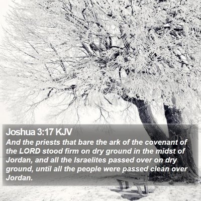 Joshua 3:17 KJV Bible Verse Image