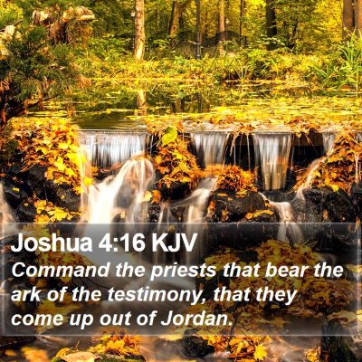 Joshua 4:16 KJV Bible Verse Image
