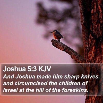 Joshua 5:3 KJV Bible Verse Image