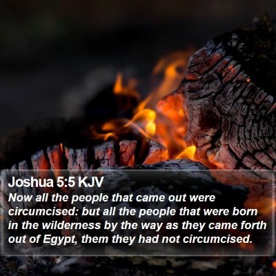 Joshua 5:5 KJV Bible Verse Image