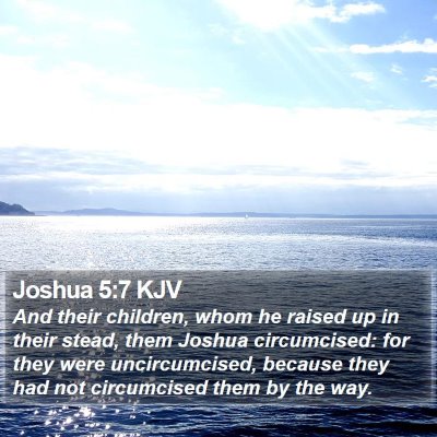 Joshua 5:7 KJV Bible Verse Image
