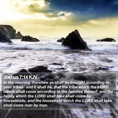 Joshua 7:14 KJV Bible Verse Image