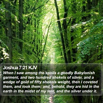 Joshua 7:21 KJV Bible Verse Image