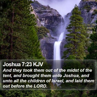 Joshua 7:23 KJV Bible Verse Image