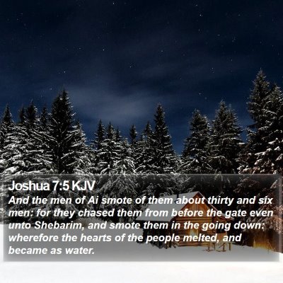 Joshua 7:5 KJV Bible Verse Image