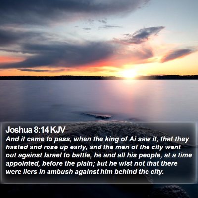 Joshua 8:14 KJV Bible Verse Image