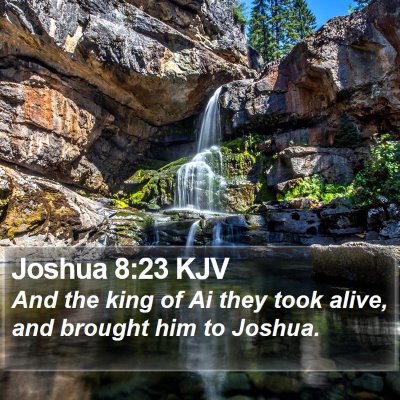 Joshua 8:23 KJV Bible Verse Image