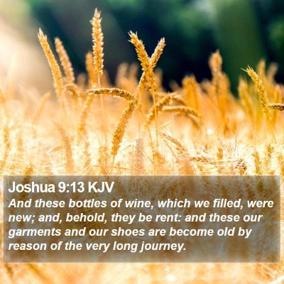 Joshua 9:13 KJV Bible Verse Image