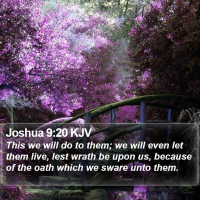 Joshua 9:20 KJV Bible Verse Image