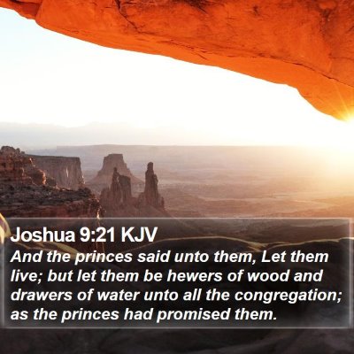 Joshua 9:21 KJV Bible Verse Image