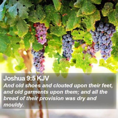 Joshua 9:5 KJV Bible Verse Image