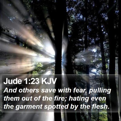 Jude 1:23 KJV Bible Verse Image