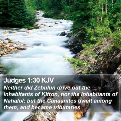 Judges 1:30 KJV Bible Verse Image