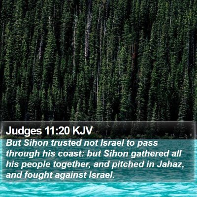 Judges 11:20 KJV Bible Verse Image