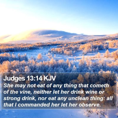 Judges 13:14 KJV Bible Verse Image