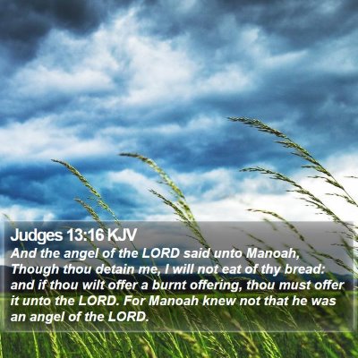 Judges 13:16 KJV Bible Verse Image