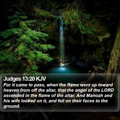 Judges 13:20 KJV Bible Verse Image