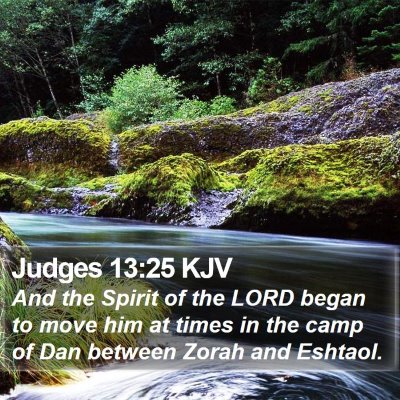 Judges 13:25 KJV Bible Verse Image