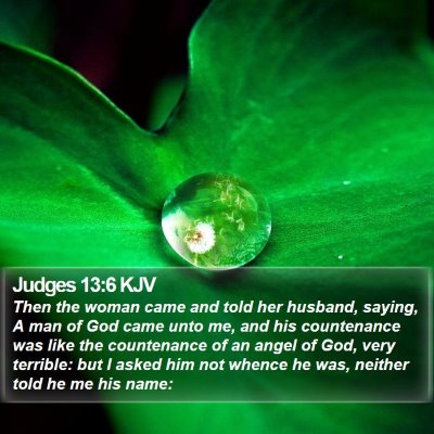 Judges 13:6 KJV Bible Verse Image