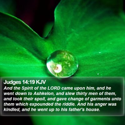 Judges 14:19 KJV Bible Verse Image