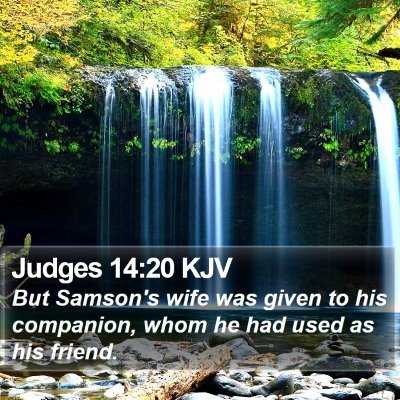 Judges 14:20 KJV Bible Verse Image