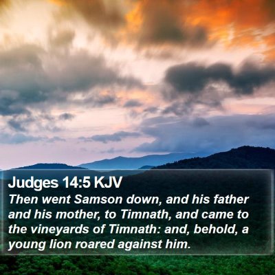 Judges 14:5 KJV Bible Verse Image