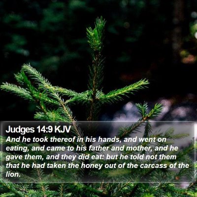 Judges 14:9 KJV Bible Verse Image