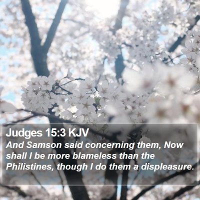 Judges 15:3 KJV Bible Verse Image