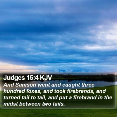 Judges 15:4 KJV Bible Verse Image