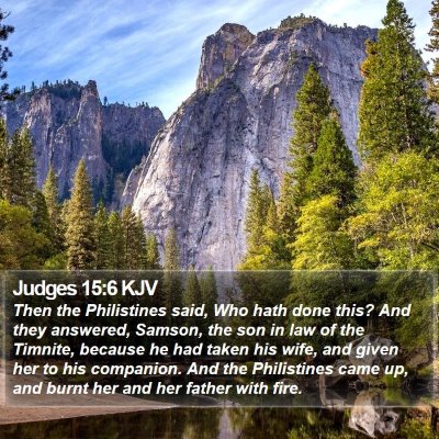 Judges 15:6 KJV Bible Verse Image