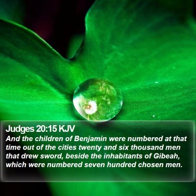 Judges 20:15 KJV Bible Verse Image