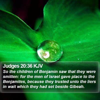 Judges 20:36 KJV Bible Verse Image