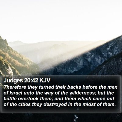 Judges 20:42 KJV Bible Verse Image