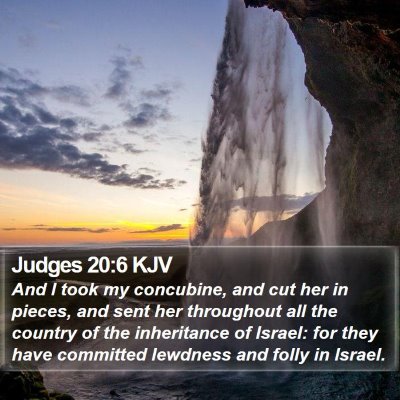 Judges 20:6 KJV Bible Verse Image