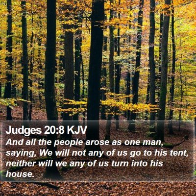 Judges 20:8 KJV Bible Verse Image