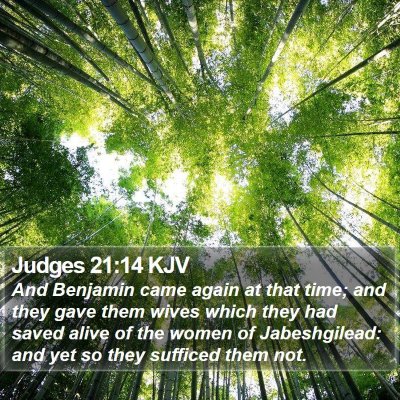Judges 21:14 KJV Bible Verse Image