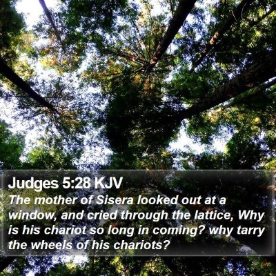 Judges 5:28 KJV Bible Verse Image