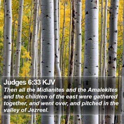 Judges 6:33 KJV Bible Verse Image
