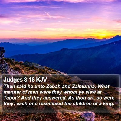 Judges 8:18 KJV Bible Verse Image