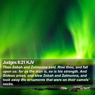 Judges 8:21 KJV Bible Verse Image
