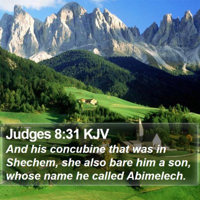 Judges 8:31 KJV Bible Verse Image
