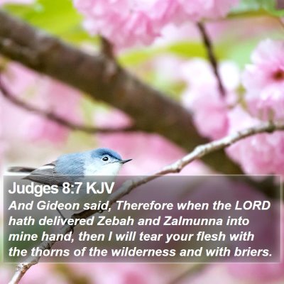 Judges 8:7 KJV Bible Verse Image